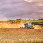 Una cosehadora atraviesa un campo de cereal para recoger el grano