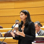Arenales Serrano, senadora del Partido Popular por Valladolid.