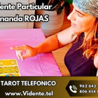 Vidente Fernanda Rojas