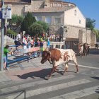 Uno de los animales llegando a la parte urbana del encierro de Ícar