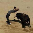 Encierro urbano hasta la plaza de toros en plaza de Simancas