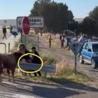 Captura del vídeo