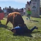 Momento de la cogida en el Toro de la Vega