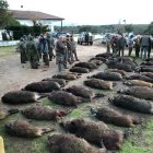 Resultado de una batida en la dehesa zamorana de Soguino.