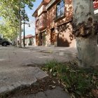 Pavimento levantado por las raíces del árbol en la zona donde reside la vecina afectada.