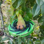Herramienta Dendofruit de Agerpix para monitorizar el crecimiento de las frutas