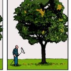 Rodera 1 de noviembre