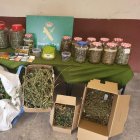Droga y material encontrado en la vivienda de Tudela de Duero.