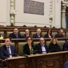 Grupo Municipal Socialista en el Ayuntamiento de Valladolid
