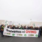 UCCL convoca una concentración con el lema 'Salvemos el ovino' para exigir contratos justos y protestar por los costes altos y precios bajos en el sector.