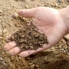 Un agricultor examina el estado de la tierra en uno de sus cultivos en tiempo de sementera