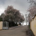 Centro Zambrana de Valladolid