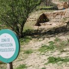 Zona arqueológica del cerro de las Contiendas para la extracción del fósil.