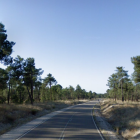 VP-2304 a la altura de Sardón de Duero