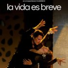 Espectáculo de flamenco La Vida es