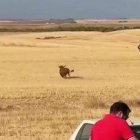 Fuente: PARTIDO PACMA