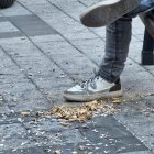 El suelo lleno de cáscaras de pipas y cacahuetes