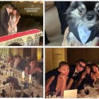 Mejores imágenes de la boda de la hija de Banderas