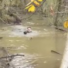 Un cazador salva a su perra tirándose al río.
