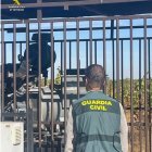 Imagen de la Guardia Civil