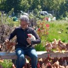 Javier Saiz recibirá el nuevo lote de 980 gallinas.
