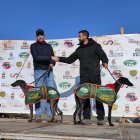 Final del nacional de galgos en campo en Nava del Rey