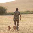Un hombre cazando junto a sus perros en una imagen de archivo