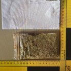 Marihuana que los agentes hallaron en el envío postal.