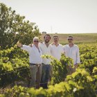 Bodegas Mauro y Muchada-Léclapart en la viña