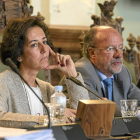 Cantalapiedra y León de la Riva, con gesto serio, durante la celebración del pleno-M. A. SANTOS