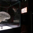 Exposición ‘Ilusionismo ¿Magia o Ciencia?’ de la Fundación La Caixa-Ical