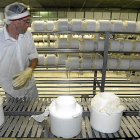 Elaboración de queso con leche de Castilla y León en la localidad zamorana de Fresno de la Ribera.-ICAL