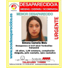 Cartel de alerta de la desaparición de la menor rumana Simona Melu, en paradero desconocido desde hace 9 meses . E. M.