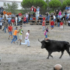 Varios mozos citan en los terrenos de la vega de Tordesillas a Elegido, el Toro de la Vega perteneciente al torneo del año pasado.-S.G. del Campo