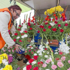 Una florista prepara un ramo de claveles.-Miguel Ángel Santos