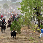 Celebración del Toro de la Vega en 2015-AFP