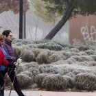 Tres personas pasean por un parque en el que se deja ver el efecto de la cencellada en Valladolid.-MIGUEL ÁNGEL SANTOS