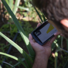Un agricultor utiliza la aplicación desarrollada por la empresa leonesa Hilo Verde.-EL MUNDO