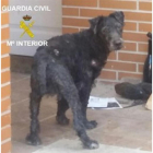 -GUARDIA CIVIL