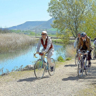 Un momento de la marcha cicloturista por el Canal de Castilla.-E.M.