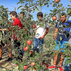 Jóvenes universitarios en los campos de ensayo de la Escuela Técnica Superior de Ingenierías Agrarias de Palencia.-BRÁGIMO