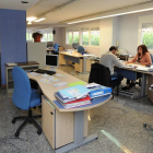 Varios técnicos trabajando en la sede dela Cámara Agraria de la plaza Virgen del Manzano de Burgos.-I. L. M.