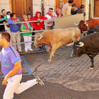 Tercer encierro urbano durante las fiestas de Cuéllar.-ICAL