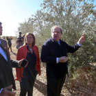 Juan Vicente Herrera y Milagros Marcos junto a Antonio Martín durante la visita del olivar del Grupo Valdecuevas.-ICAL