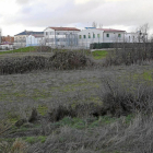Terrenos junto al Centro de Menores Zambrana.-J.M. LOSTAU