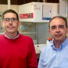 El alcalde de León, Antonio Silván, y el director artístico del ‘Purple Weekend’, Constantino Chao, presentan la XXVII edición del Festival Internacional-Ical