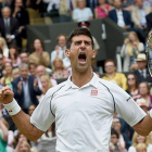 Djokovic celebra su triunfo.-EFE