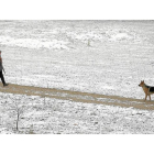 Una persona pasea a su perro por un parque de Arroyo de laEncomienda-Ical