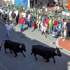Dos toros corren por las calles de Pedrajas en el encierro de ayer.-MIGUEL ANGEL SANTOS (PHOTOGENIC)