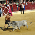 Imagen de archivo de un cortador en Medina del Campo.-S,G, DEL CAMPO